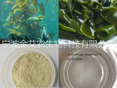 海帶多糖 巖藻 昆布海藻