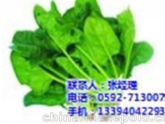 集美蔬菜 廈門(mén)地三鮮 企業(yè)食堂蔬菜配送