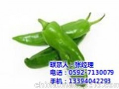 廈門(mén)地三鮮(圖) 餐館蔬菜配送