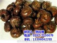 海滄蔬菜配送 廈門(mén)地三鮮
