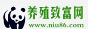 中國(guó)養(yǎng)殖致富網(wǎng)